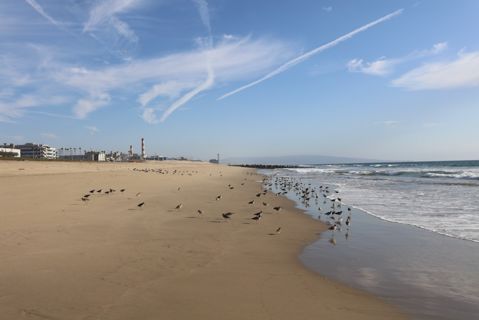 Dockweiler Beach | Lifeguard Towers 55-56 Photo 38