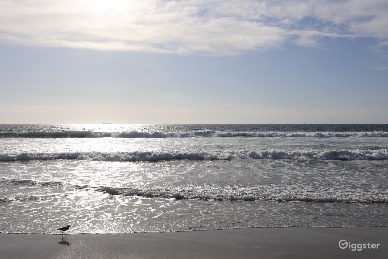 Dockweiler Beach | Lifeguard Towers 55-56 Photo 19