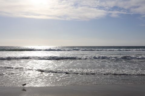 Dockweiler Beach | Lifeguard Towers 55-56 Photo 19