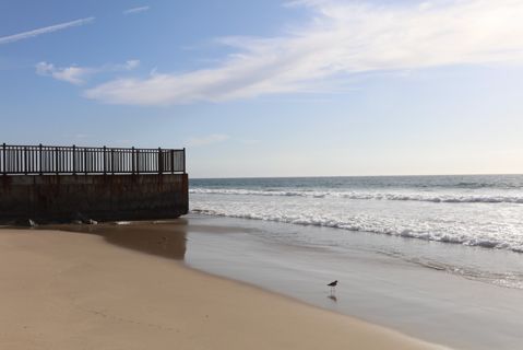 Dockweiler Beach | Lifeguard Towers 55-56 Photo 18