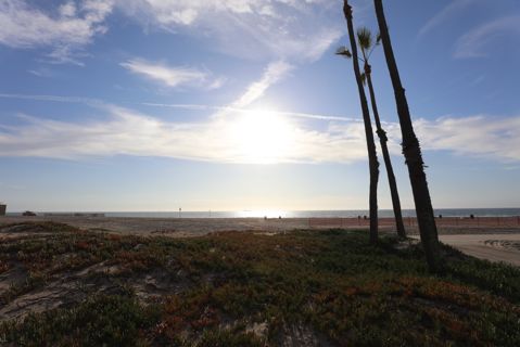 Dockweiler Beach | Lifeguard Towers 55-56 Photo 84