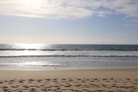 Dockweiler Beach | Lifeguard Towers 55-56 Photo 8