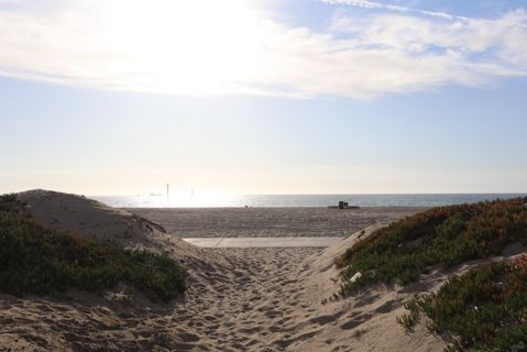 Dockweiler Beach | Lifeguard Towers 55-56 Photo 88