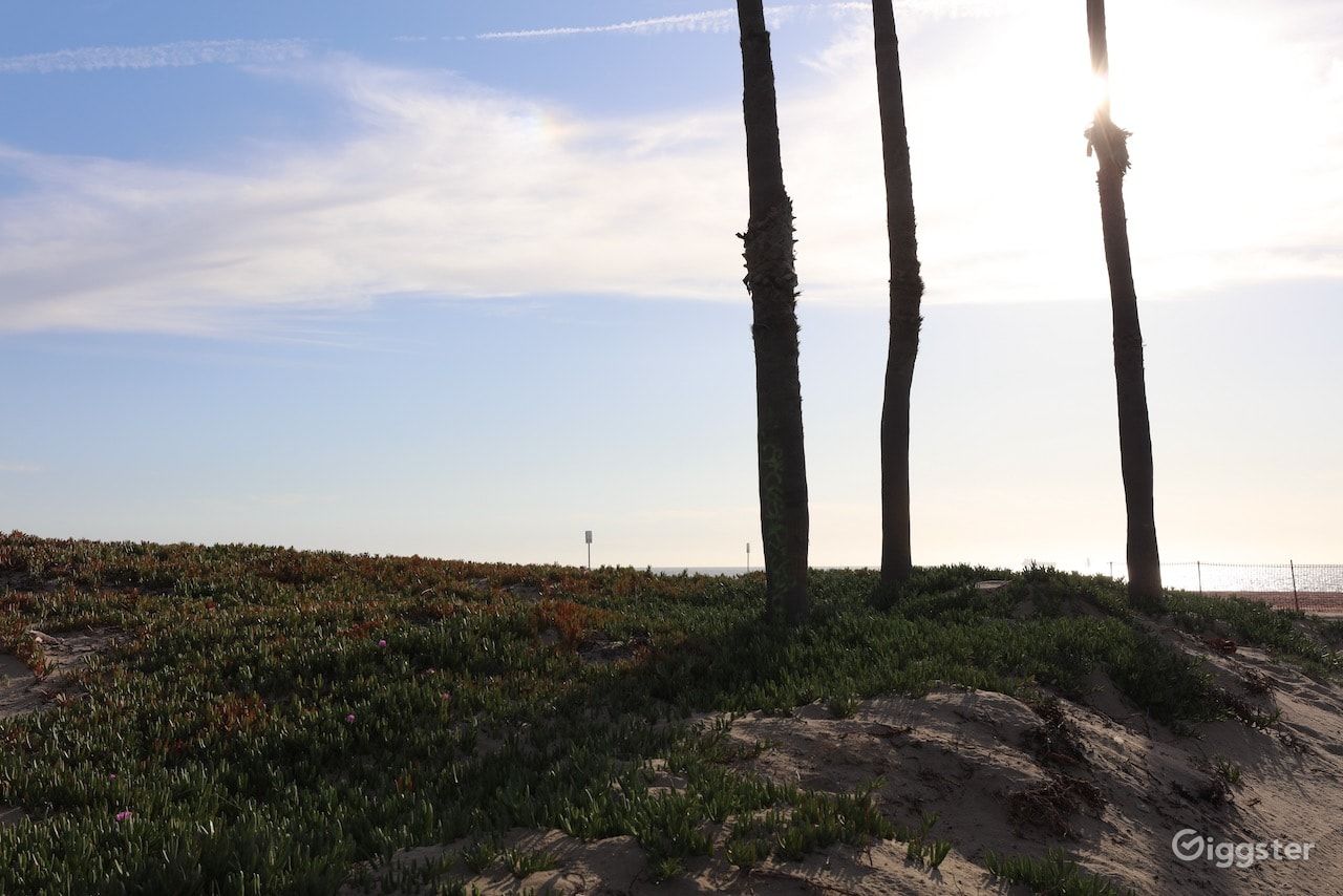 Dockweiler Beach | Lifeguard Towers 55-56 Photo 82