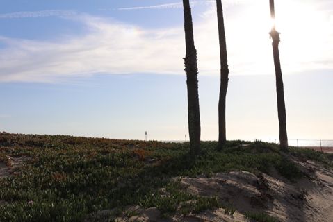 Dockweiler Beach | Lifeguard Towers 55-56 Photo 82