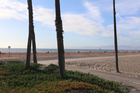 Dockweiler Beach | Lifeguard Towers 55-56 Photo 86