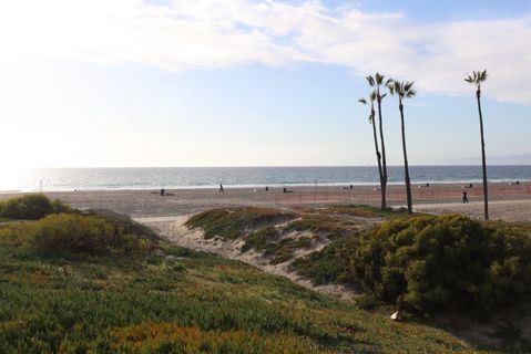 Dockweiler Beach | Lifeguard Towers 55-56 Photo 106
