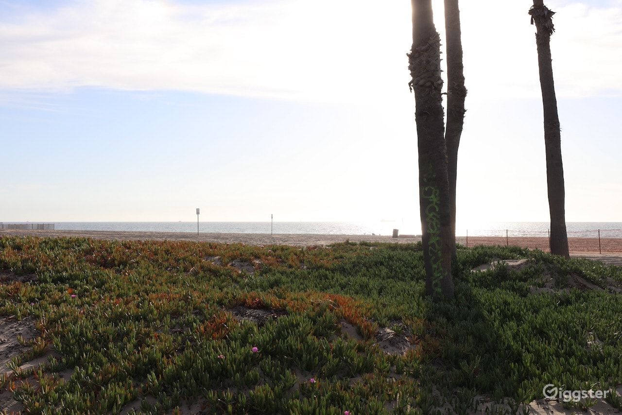 Dockweiler Beach | Lifeguard Towers 55-56 Photo 83