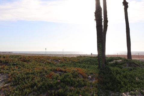 Dockweiler Beach | Lifeguard Towers 55-56 Photo 83