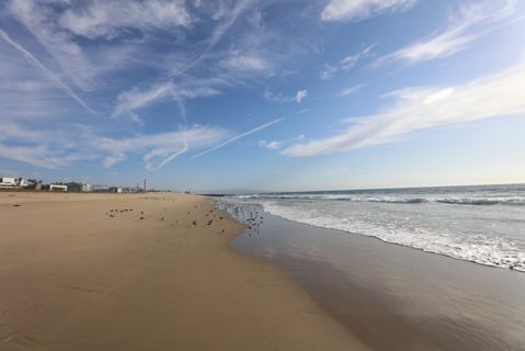 Dockweiler Beach | Lifeguard Towers 55-56 Photo 37