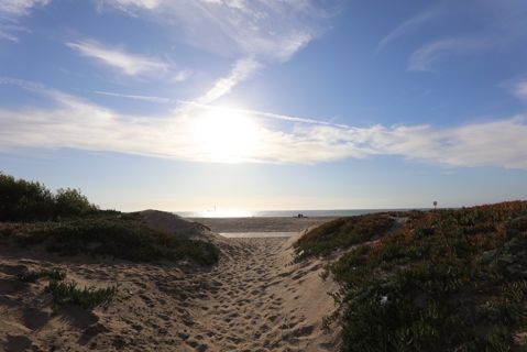 Dockweiler Beach | Lifeguard Towers 55-56 Photo 87