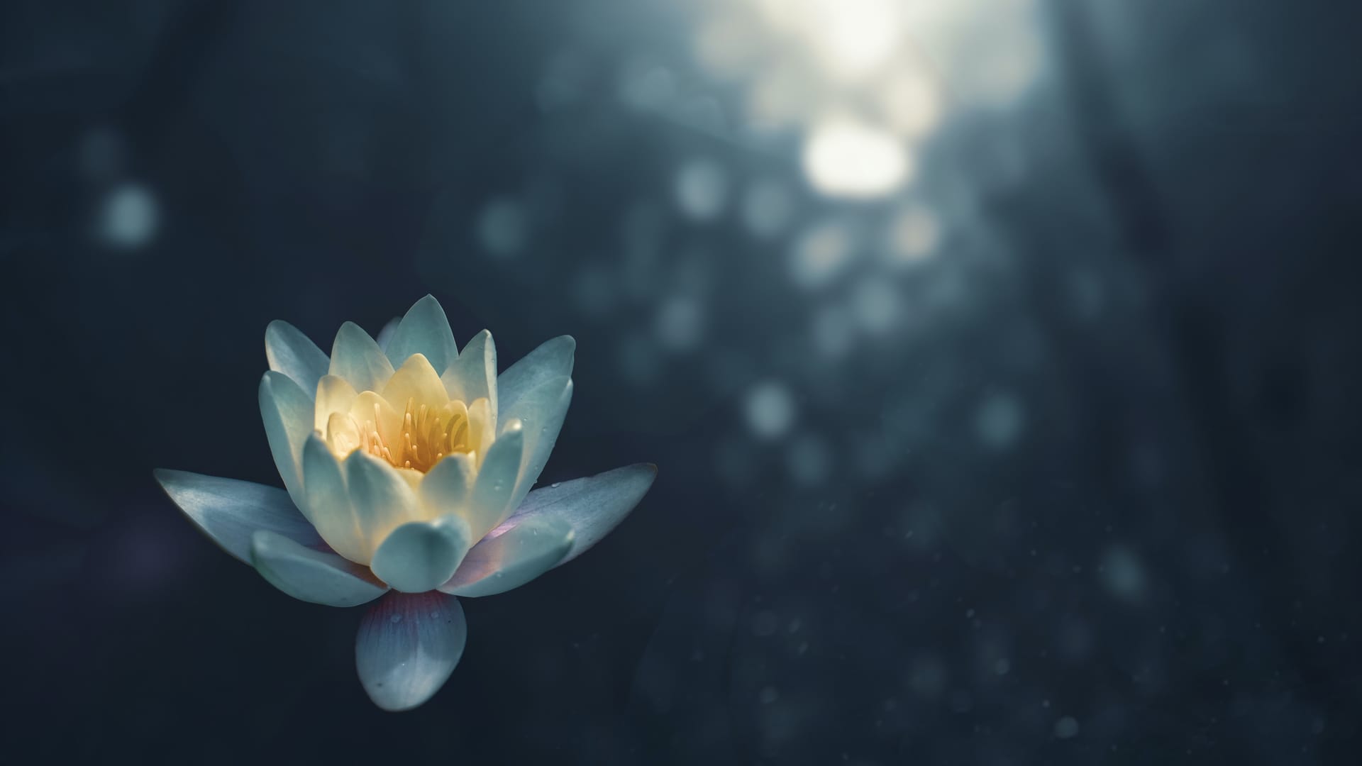 Meditation spaces 