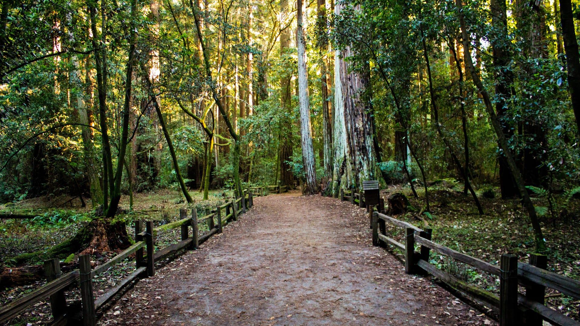 The BEST 10 Outdoor spaces for rent near me | Giggster